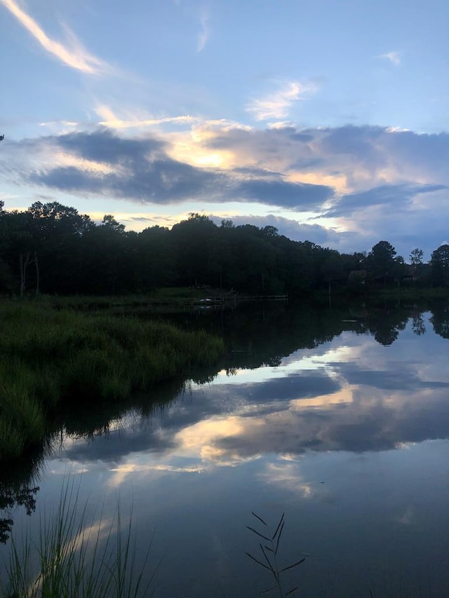 1198 Knights Landing Dr, Heathsville, VA 22473 - water view with a forest