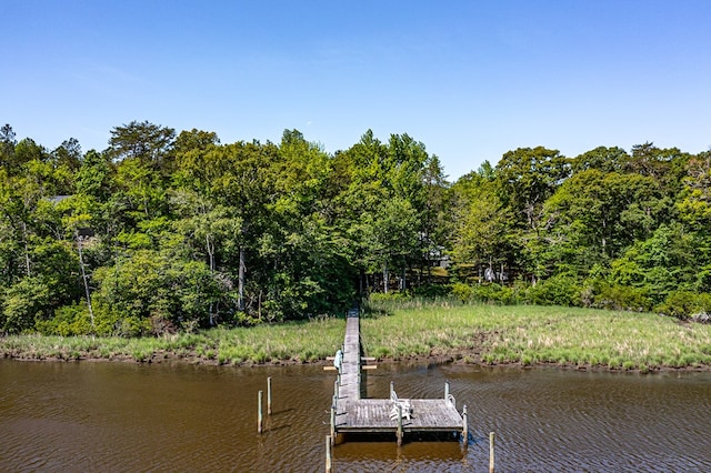 1198 Knights Landing Dr, Heathsville, VA 22473 - dock area with a water view and a view of trees