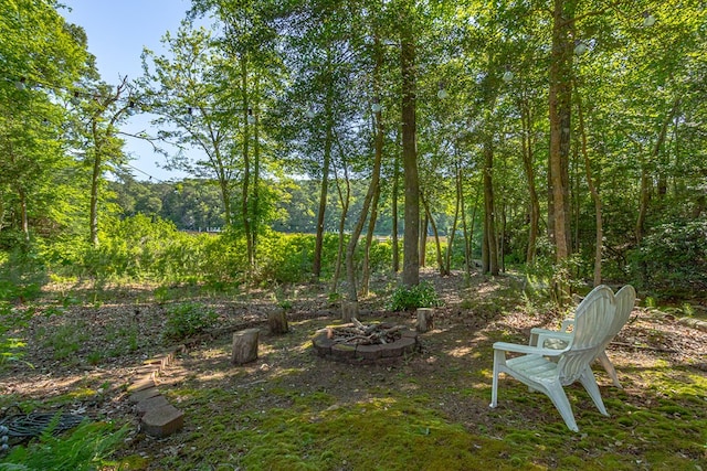 1198 Knights Landing Dr, Heathsville, VA 22473 - view of yard