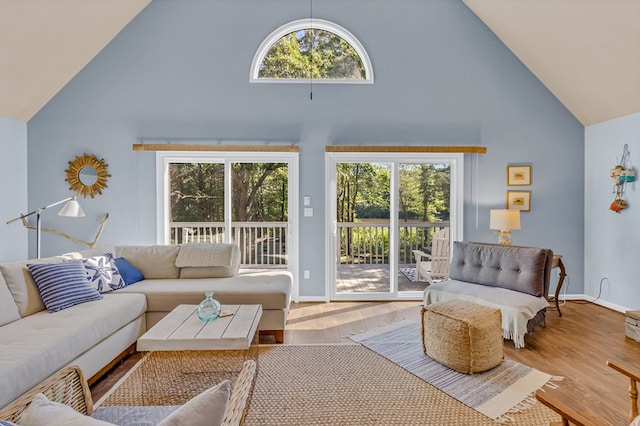 1198 Knights Landing Dr, Heathsville, VA 22473 - living room with high vaulted ceiling, wood finished floors, and baseboards