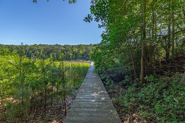 1198 Knights Landing Dr, Heathsville, VA 22473 - surrounding community featuring a view of trees