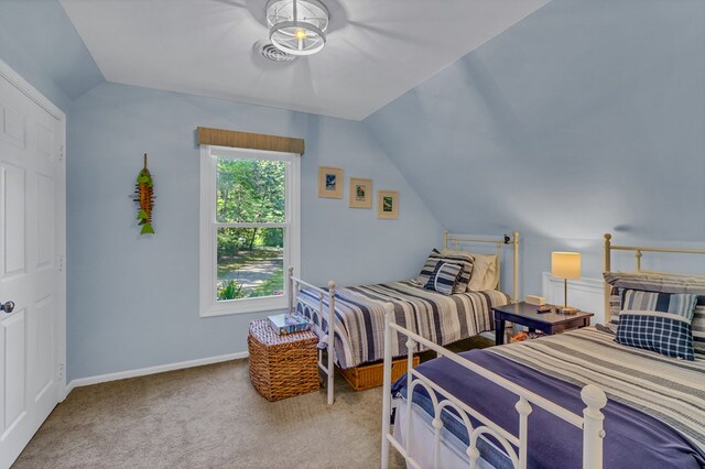 1198 Knights Landing Dr, Heathsville, VA 22473 - carpeted bedroom with vaulted ceiling and baseboards