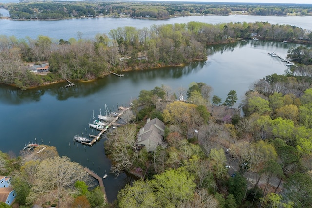91 Villa Ridge Dr, Hartfield, VA 23071 - photo 36