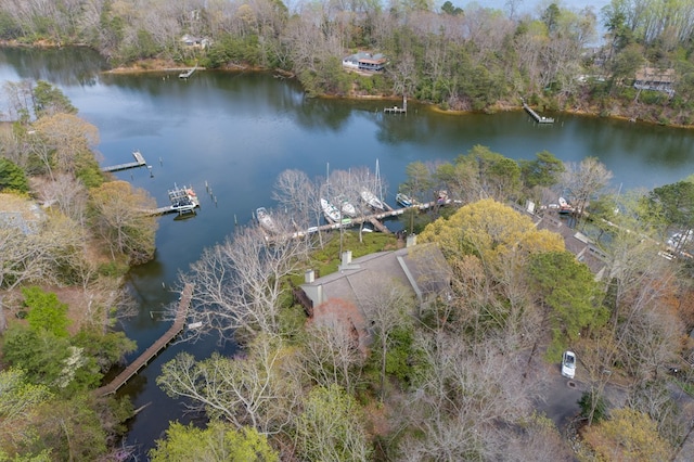 91 Villa Ridge Dr, Hartfield, VA 23071 - photo 12
