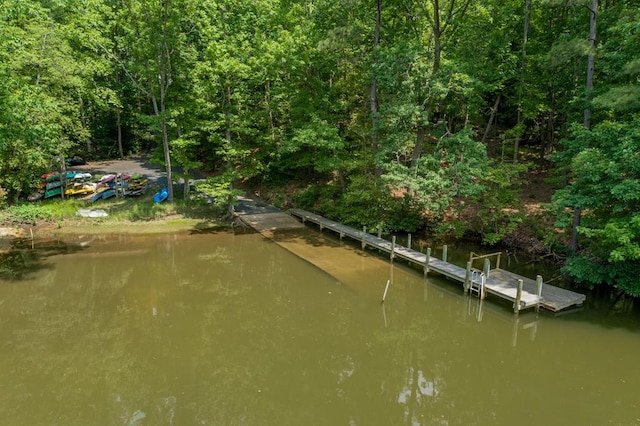 91 Villa Ridge Dr, Hartfield, VA 23071 - photo 47