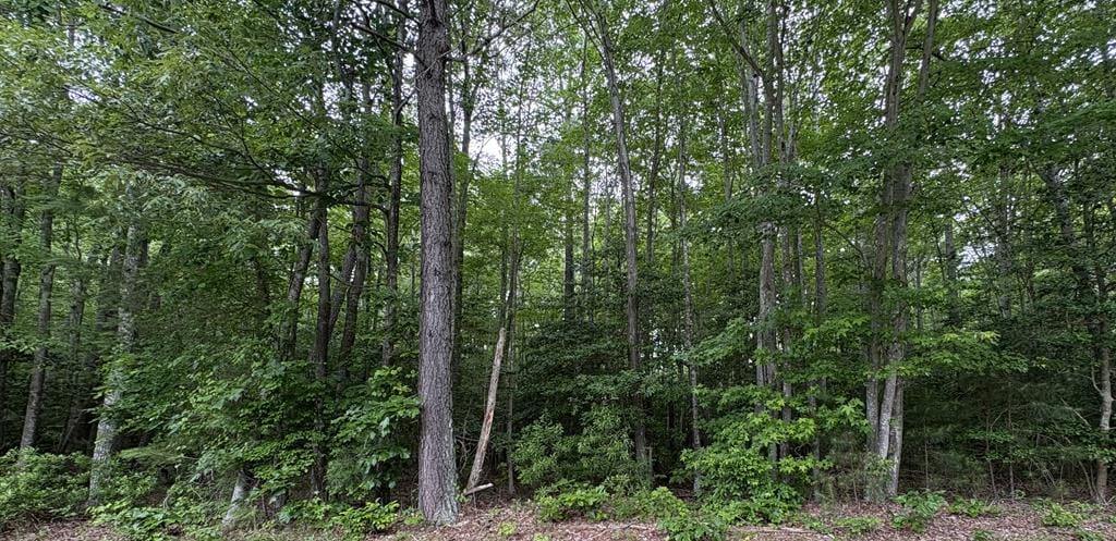 43-1002A Bogey Neck Rd, Heathsville, VA 22473 - photo 1