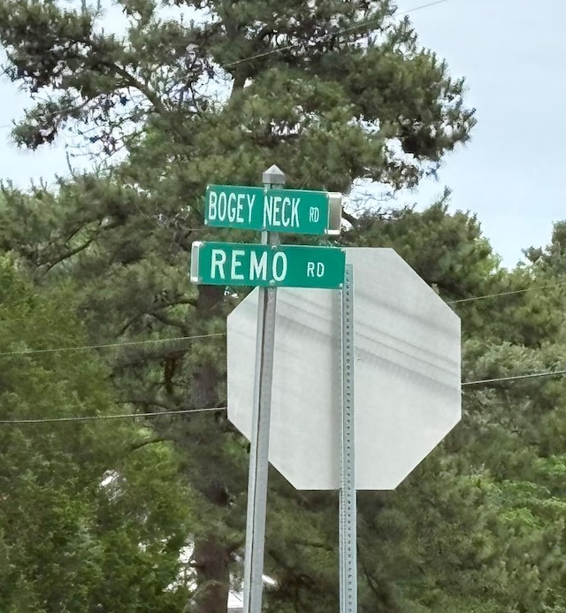 43-1002A Bogey Neck Rd, Heathsville, VA 22473 - photo 2