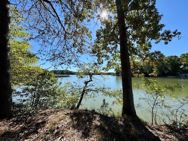 Listing photo 3 for LOT20 Alabama Dr, Heathsville VA 22473