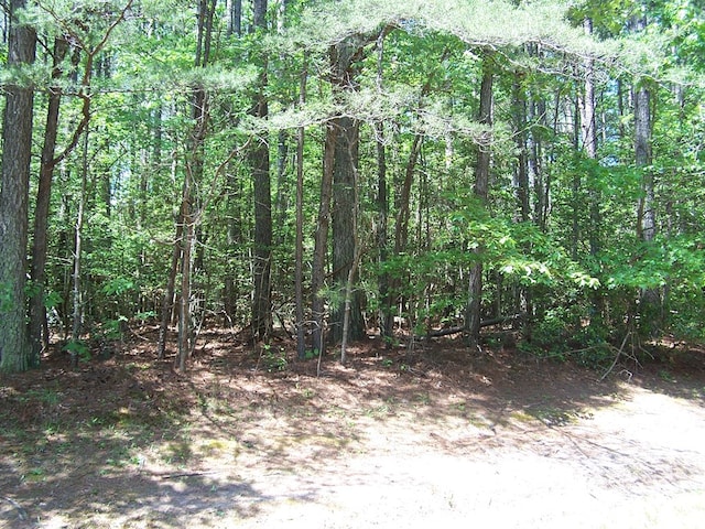 Listing photo 3 for LOT118 Buoy Dr, Heathsville VA 22473