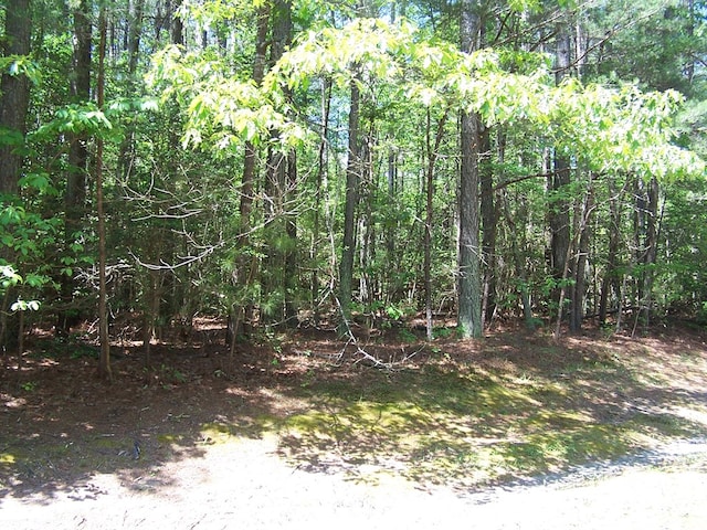 Listing photo 2 for LOT118 Buoy Dr, Heathsville VA 22473