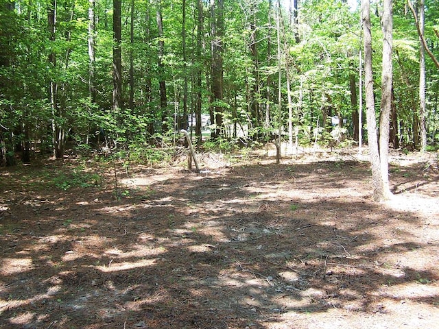 LOT118 Buoy Dr, Heathsville VA, 22473 land for sale