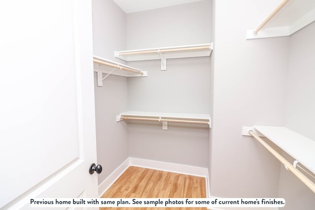 walk in closet with light wood-type flooring