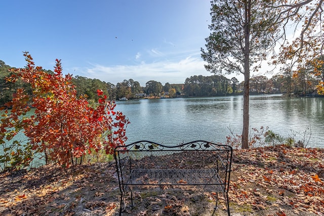 view of water feature