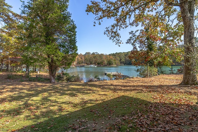 view of yard with a water view