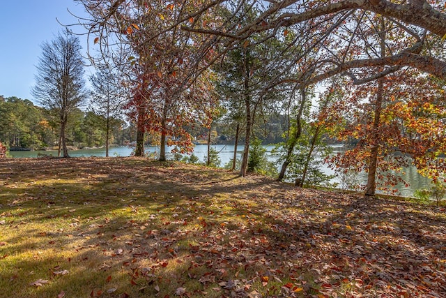 view of yard with a water view