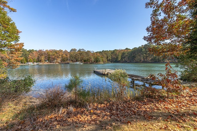 dock area with a water view