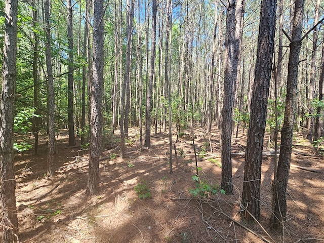 Listing photo 2 for LOT41 Stoneman Ln, Heathsville VA 22473