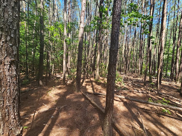 LOT41 Stoneman Ln, Heathsville VA, 22473 land for sale