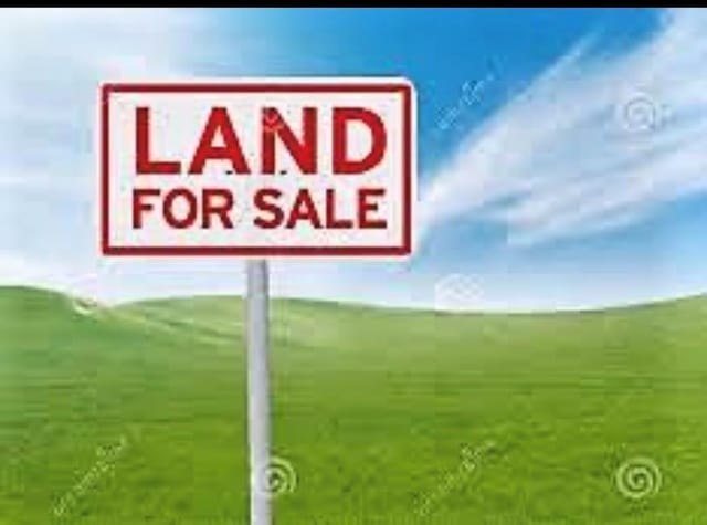 LOT46 Carolina Dr, Heathsville, VA 22437 - photo 1