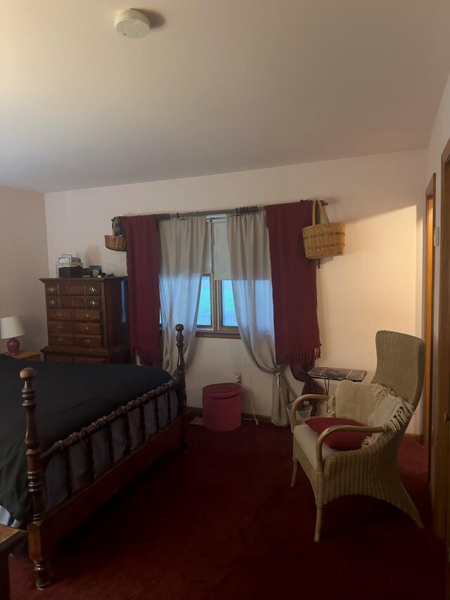 203 Lampkintown Rd, Burgess, VA 22432 - view of carpeted bedroom