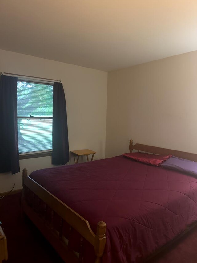 203 Lampkintown Rd, Burgess, VA 22432 - view of bedroom