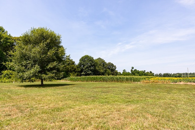 view of yard featuring a rural view