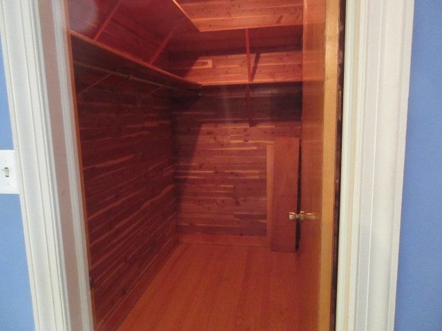 spacious closet featuring wood-type flooring