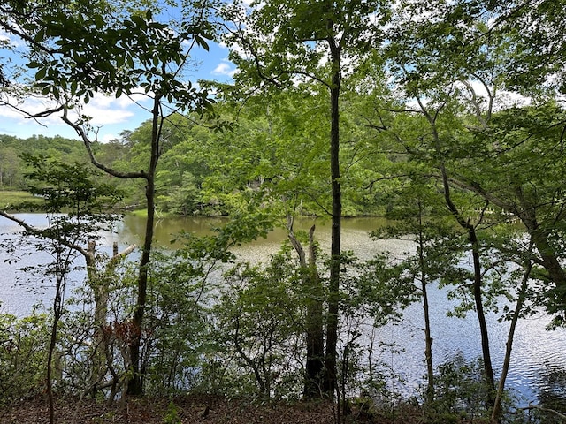 389 Mallard Dr, Heathsville, VA 22473 - photo 3