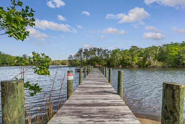 dock area featuring a water view