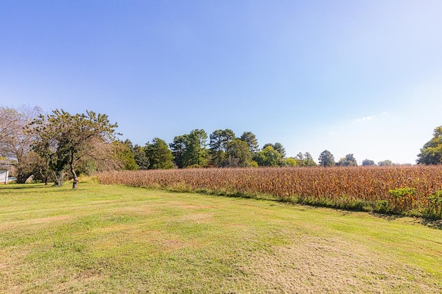 view of yard featuring a rural view