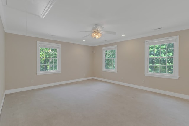 710 Train Ln, Heathsville, VA 22473 - photo 37