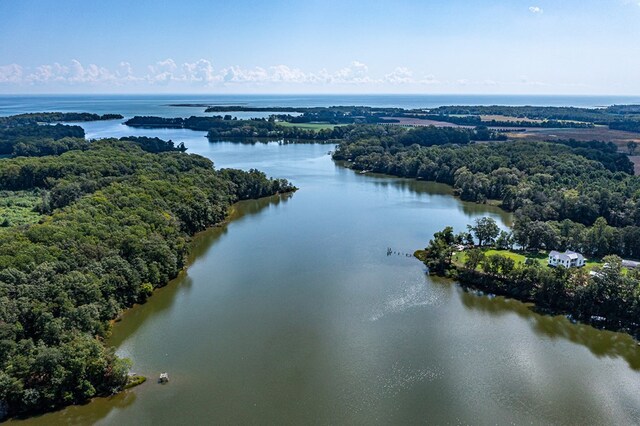 birds eye view of property with a water view and a view of trees