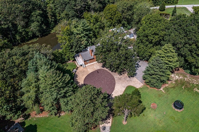 bird's eye view