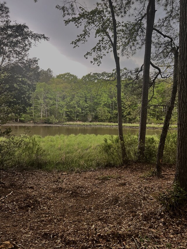 6 Dockside Ct, Montross, VA 22520 - view of nature with a water view and a view of trees