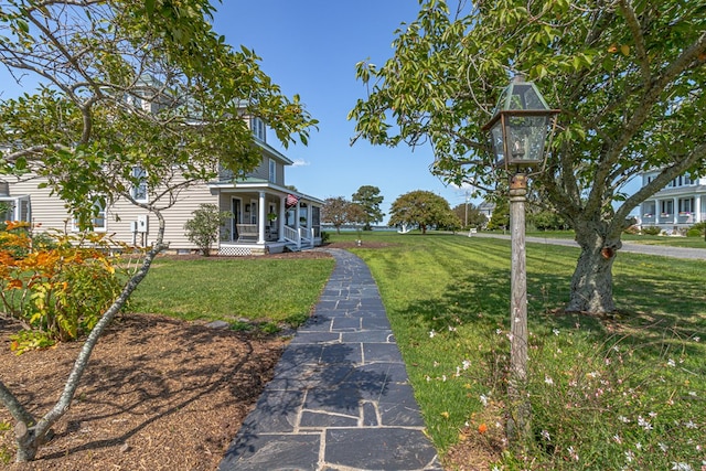 view of yard featuring a porch