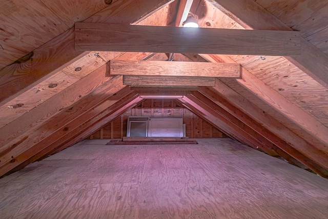 19 Cedardale Ln, Irvington, VA 22480 - view of unfinished attic