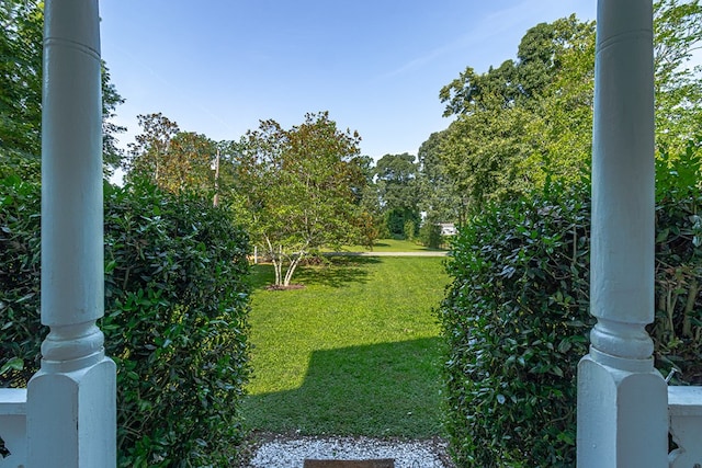 19 Cedardale Ln, Irvington, VA 22480 - view of green lawn
