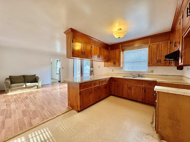 kitchen with kitchen peninsula, a wealth of natural light, sink, and range hood