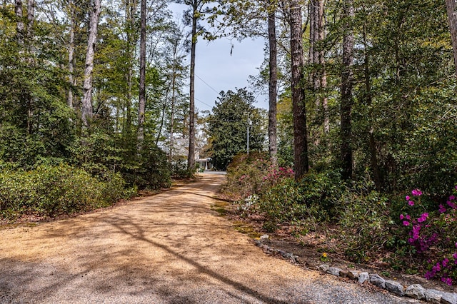 view of road featuring driveway