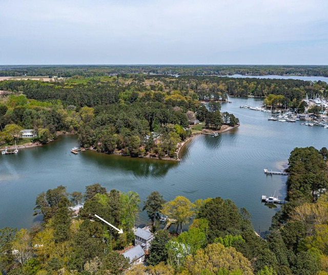 bird's eye view featuring a water view and a wooded view