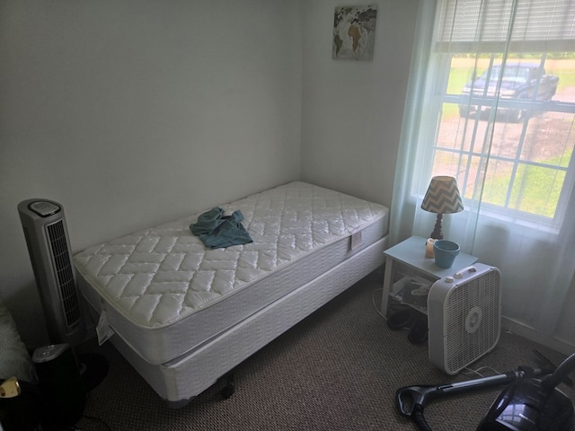 231 Fox Point Rd, Fairport, VA 22539 - photo 7