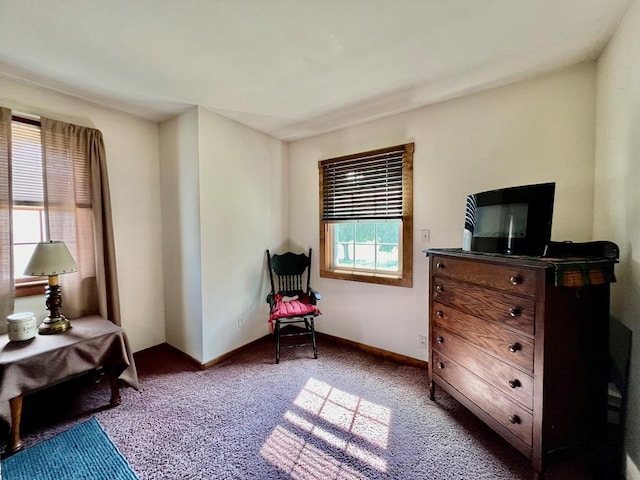 living area featuring carpet floors