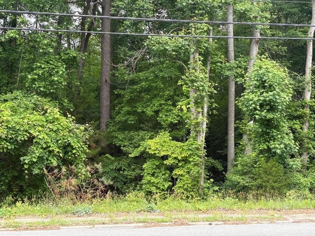 42-1-109 Jessie Dupont Memorial Hwy, Heathsville, VA 22473 - photo 2