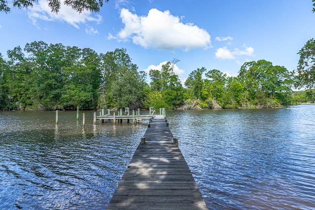 dock area with a water view