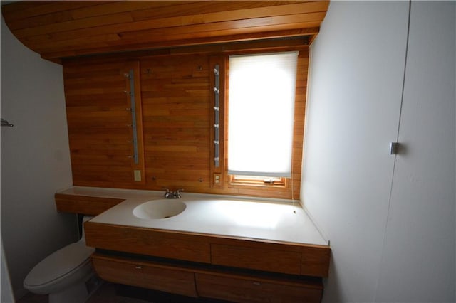 bathroom with wooden walls, toilet, and vanity