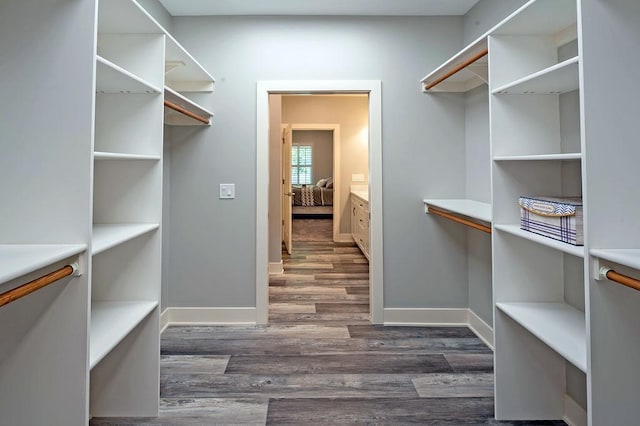 spacious closet featuring dark wood-type flooring