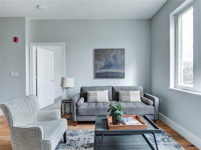 living room featuring dark hardwood / wood-style flooring