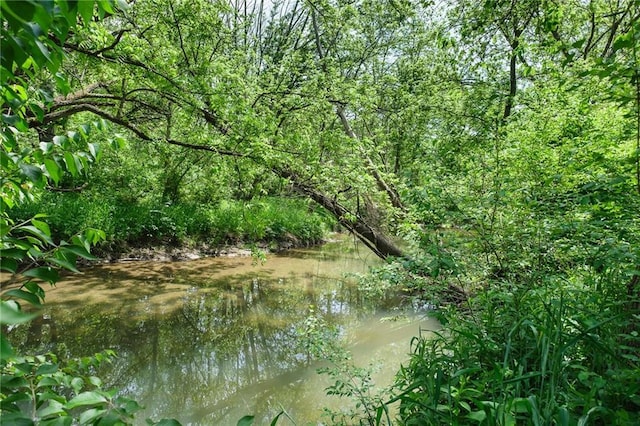 view of landscape with a water view