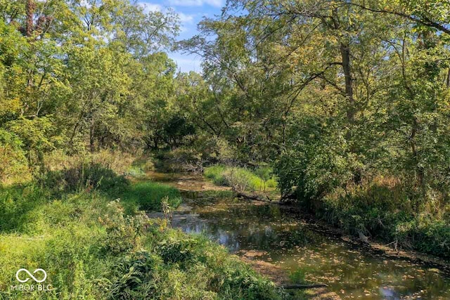 view of local wilderness