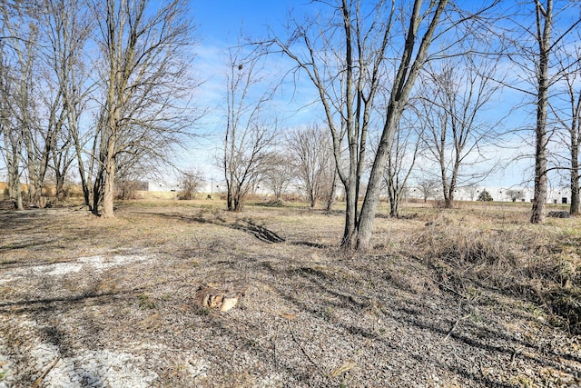 view of yard featuring a rural view